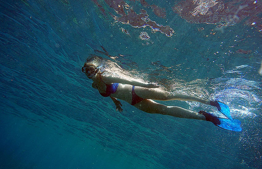 Niezapomniane Przygody Snorkelingowe z Delphinus Dive Center na Gran Canarii